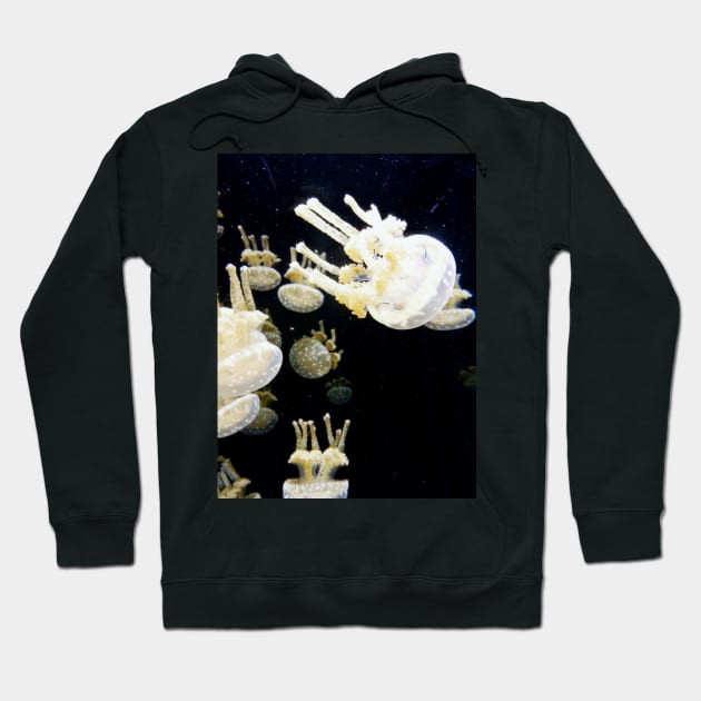 Jelly fish in the dark Hoodie by Love of animals